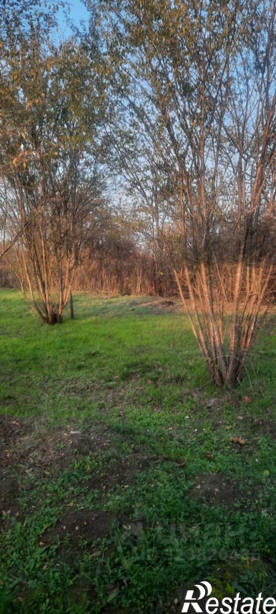 Сдать комнату за 20 000 рублей на ул Севастопольская, 4