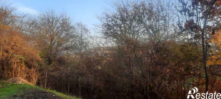 Комната ул Севастопольская, 4,  д. 4