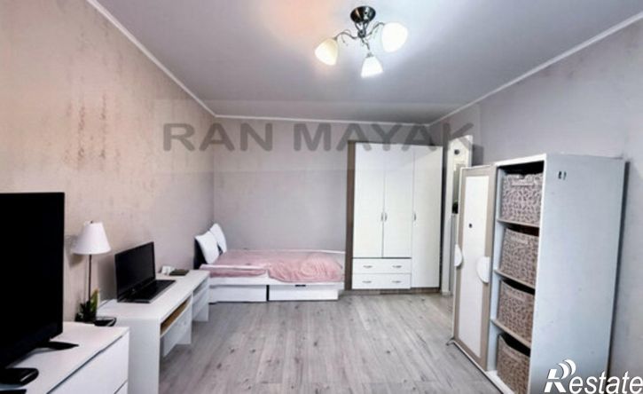 1-комн квартира улица Димитрова, 10,  д. 10