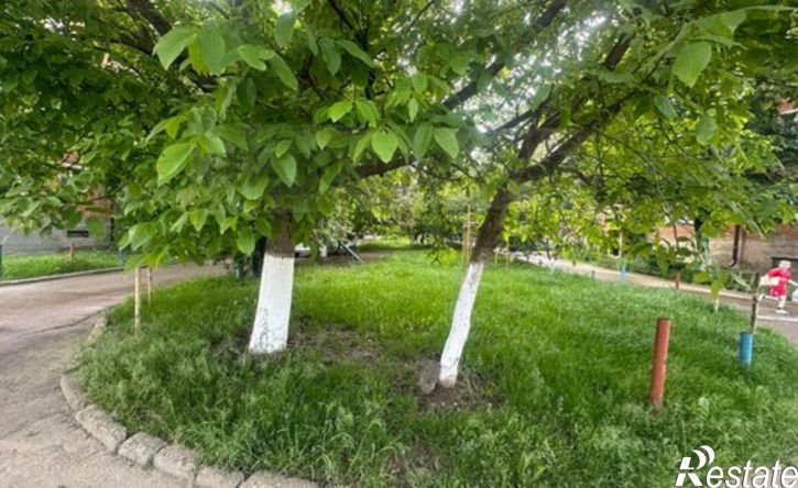 1-комн квартира улица Свободы, 417А,  д. 417А