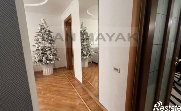 3-комн квартира улица Димитрова, 21,  д. 21