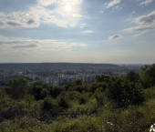земля 5 сот СНТ Восход